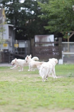 どうかな? どうかな?