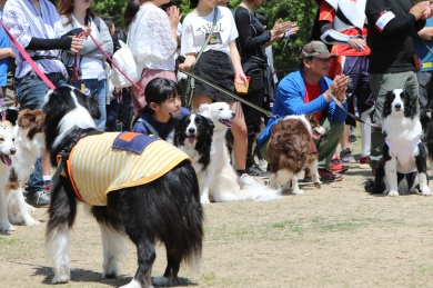 「東西合同オフ会@2018」 「東西合同オフ会@2018」