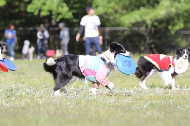 「東西合同オフ会@2018」 「東西合同オフ会@2018」