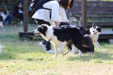 「東西合同オフ会@2018」 「東西合同オフ会@2018」