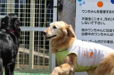 季節到来♪ 季節到来♪