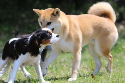 季節到来♪ 季節到来♪