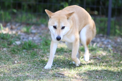 季節到来♪ 季節到来♪
