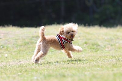 季節到来♪ 季節到来♪