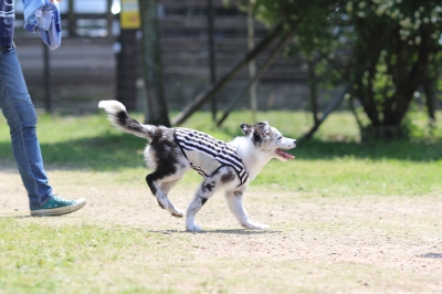 季節到来♪ 季節到来♪