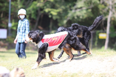 季節到来♪ 季節到来♪