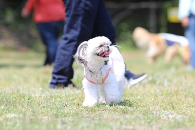 季節到来♪ 季節到来♪