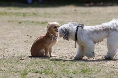 季節到来♪ 季節到来♪