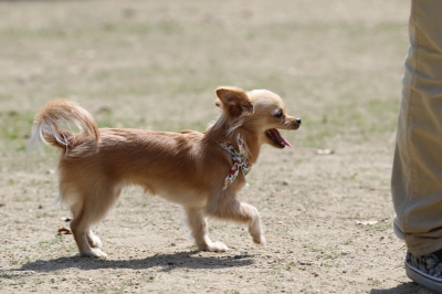 季節到来♪ 季節到来♪