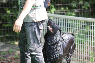 季節到来♪ 季節到来♪