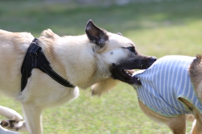 季節到来♪ 季節到来♪
