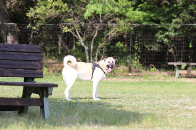季節到来♪ 季節到来♪