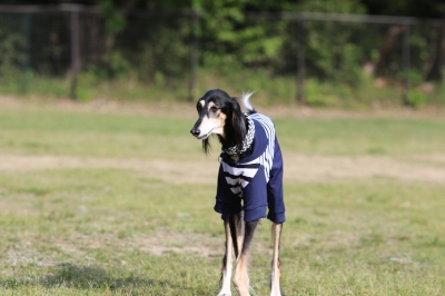 季節到来♪ 季節到来♪