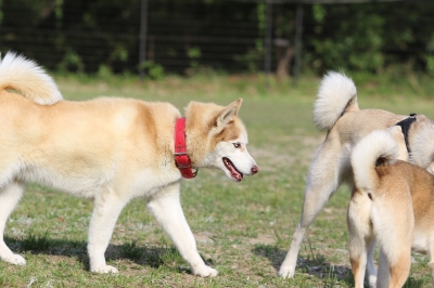 季節到来♪ 季節到来♪