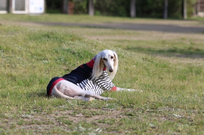 季節到来♪ 季節到来♪