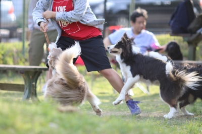 季節到来♪ 季節到来♪