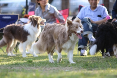 季節到来♪ 季節到来♪
