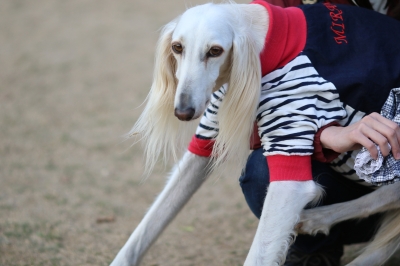 季節到来♪ 季節到来♪