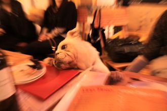 晴れた本日は。。♪ 晴れた本日は。。♪