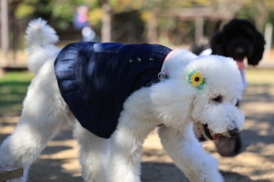 追いついた♪ 追いついた♪