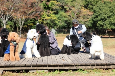 追いついた♪ 追いついた♪