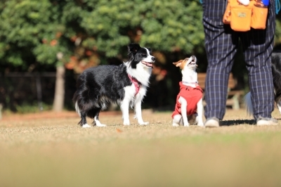 追いついた♪ 追いついた♪
