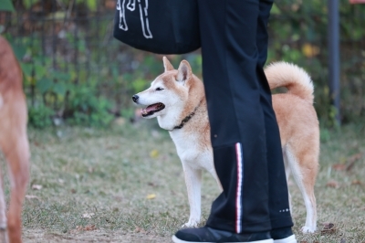 追いついた♪ 追いついた♪