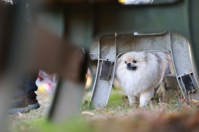 追いついた♪ 追いついた♪
