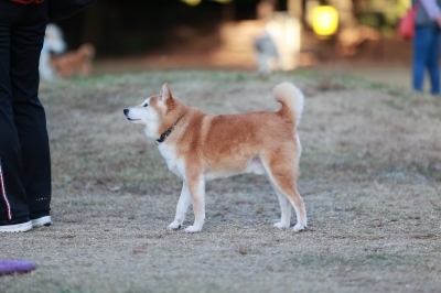 追いついた♪ 追いついた♪