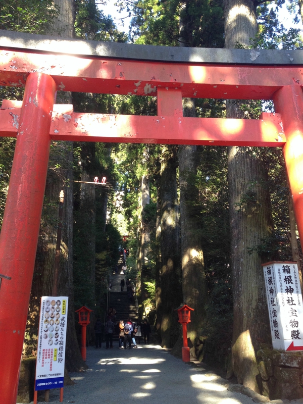 箱根神社 で 参拝っっ ☆ 箱根神社 で 参拝っっ ☆