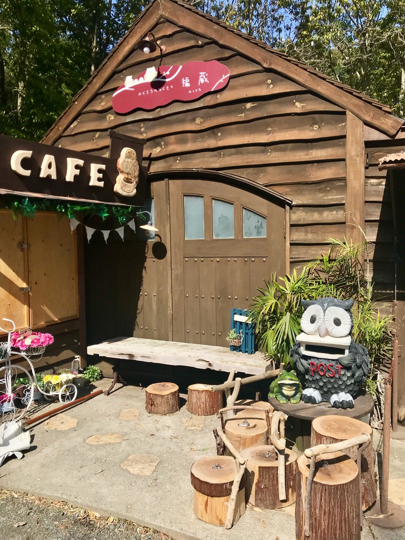【心躍るワンダーランド】