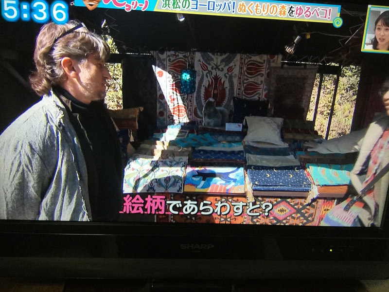 【まるごと】TV出ました