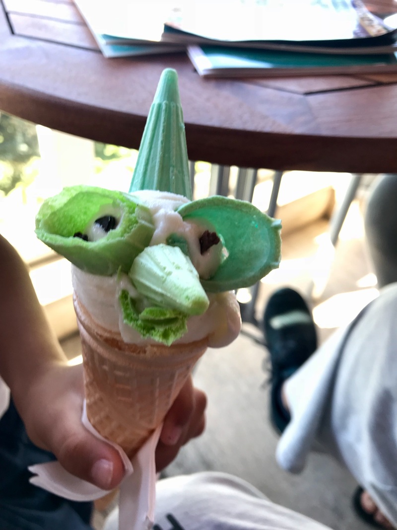 【トルコ ドンドルマ】