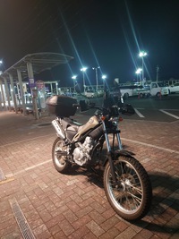 夜もそろそろ春らしく
