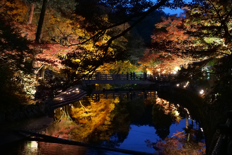 紅葉狩り
