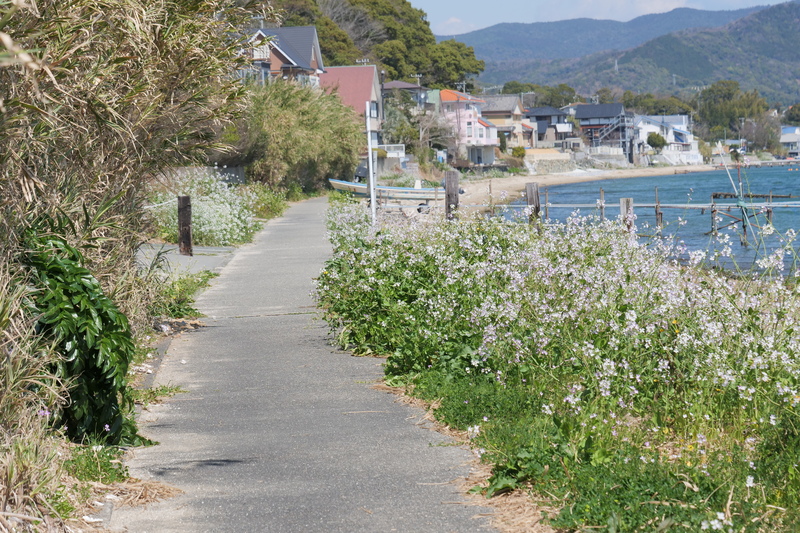 重要なお知らせ