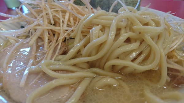 ラーメン好きですin菊川市加茂で「清六家」 塩とんこつ ラーメン好きですin菊川市加茂で「清六家」 塩とんこつ