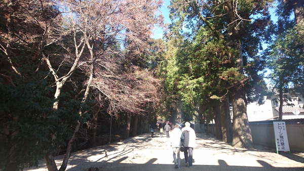 1人で初詣 猿投神社 1人で初詣 猿投神社