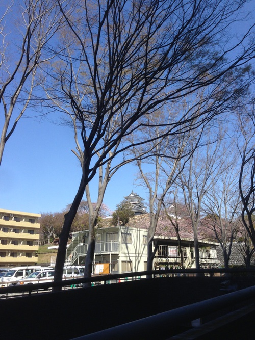 カギヤビルから春さんぽ カギヤビルから春さんぽ