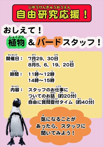 掛川花鳥園最年長ペンギン、その名も「ばぁちゃん」。