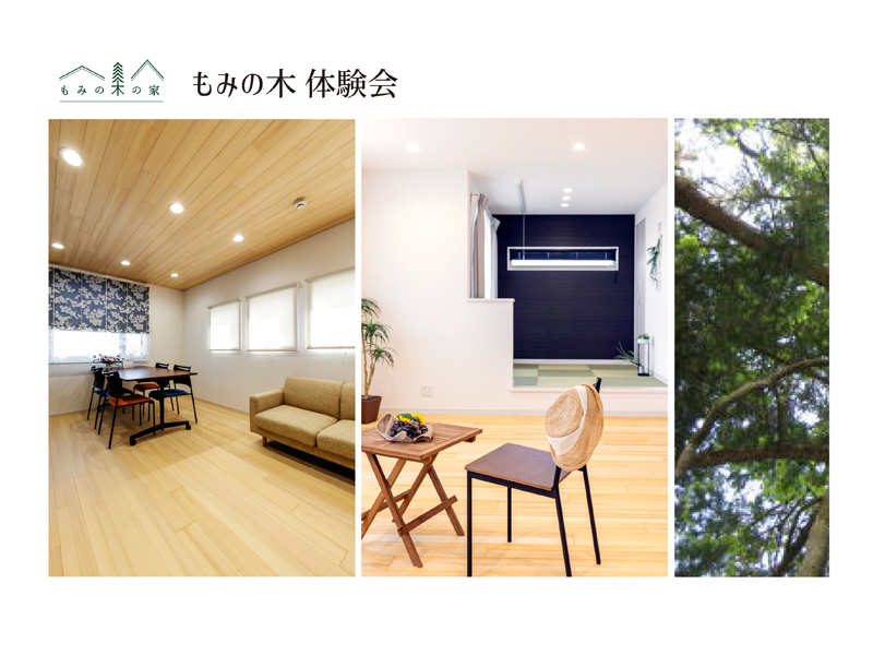 週末限定|特別なもみの木体験会【予約制:浜松市南区】(ご来場プレゼントあり) 週末限定|特別なもみの木体験会【予約制:浜松市南区】(ご来場プレゼントあり)