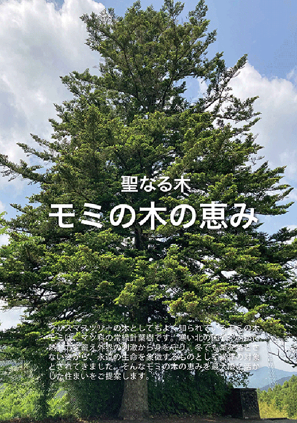 調湿効果&消臭効果も抜群!「もみの木」の心地良さを体感! 調湿効果&消臭効果も抜群!「もみの木」の心地良さを体感!