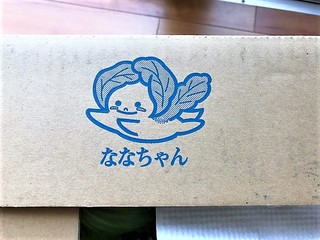 今日は野菜の日 831 今日は野菜の日 831