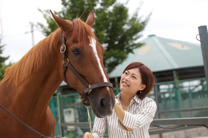 浜松&磐田で乗馬体験が今だけ【無料!】 特別オファーいかがでしょう? 浜松&磐田で乗馬体験が今だけ【無料!】 特別オファーいかがでしょう?