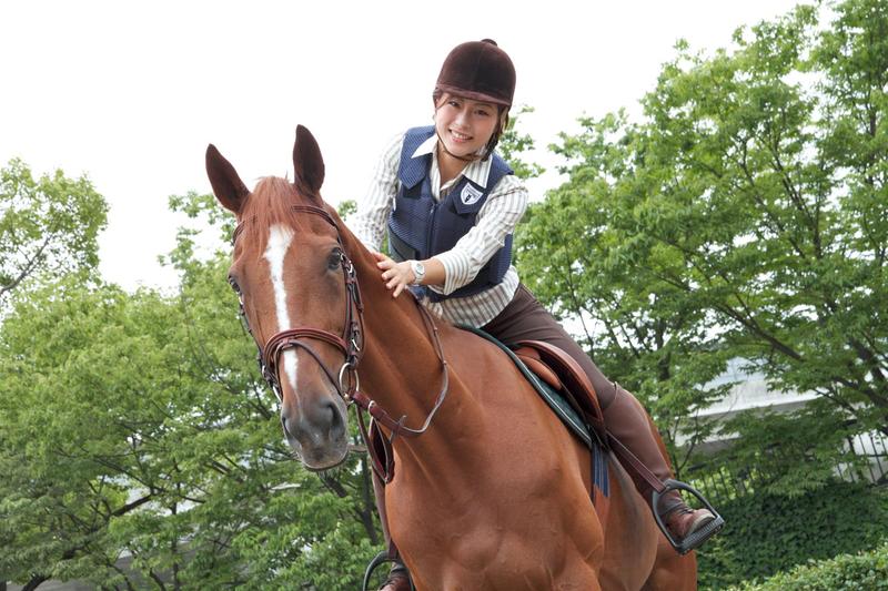浜松&磐田で乗馬体験が今だけ【無料!】 特別オファーいかがでしょう? 浜松&磐田で乗馬体験が今だけ【無料!】 特別オファーいかがでしょう?