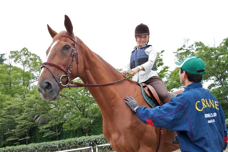 浜松&磐田で乗馬体験が今だけ【無料!】 特別オファーいかがでしょう? 浜松&磐田で乗馬体験が今だけ【無料!】 特別オファーいかがでしょう?