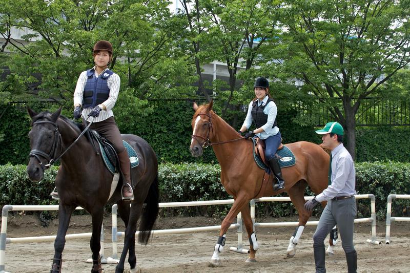 浜松&磐田で乗馬体験が今だけ【無料!】 特別オファーいかがでしょう? 浜松&磐田で乗馬体験が今だけ【無料!】 特別オファーいかがでしょう?