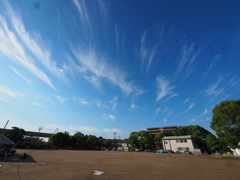 体験者だけが知っている【大人の運動会に参加すべき3つの理由】 体験者だけが知っている【大人の運動会に参加すべき3つの理由】