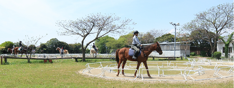 浜松&磐田で乗馬体験が今だけ【無料!】 特別オファーいかがでしょう? 浜松&磐田で乗馬体験が今だけ【無料!】 特別オファーいかがでしょう?