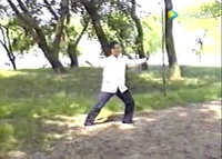 動画から学ぶ伝統楊式太極拳